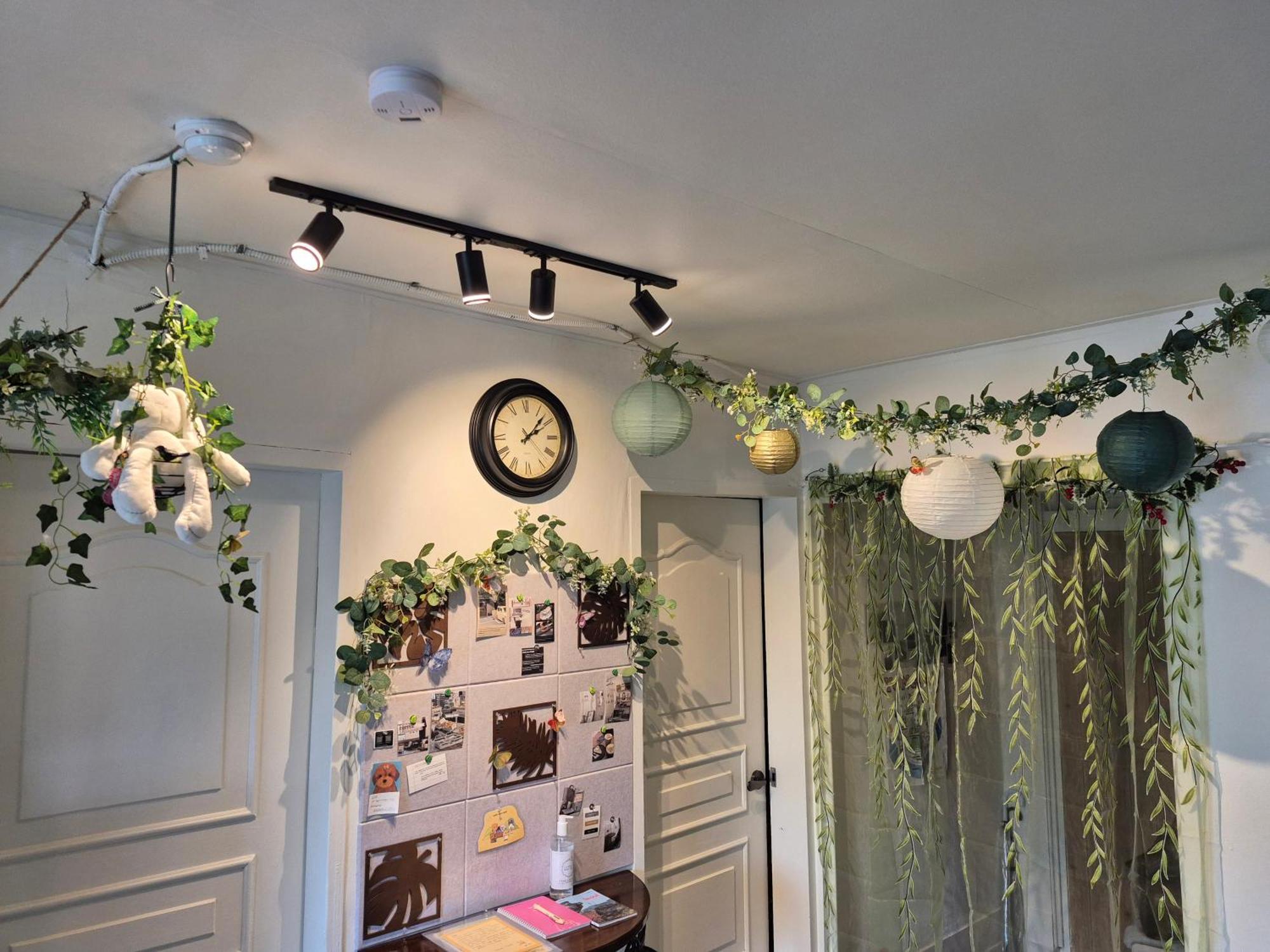 Apartment Nature House