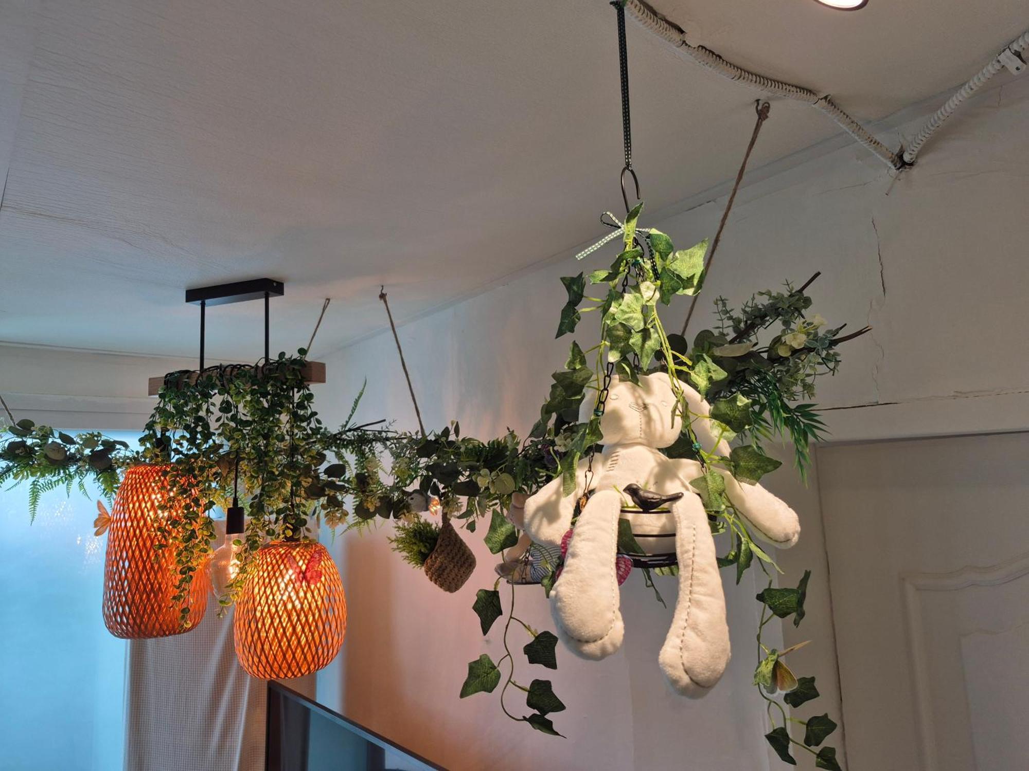 Nature House Apartment