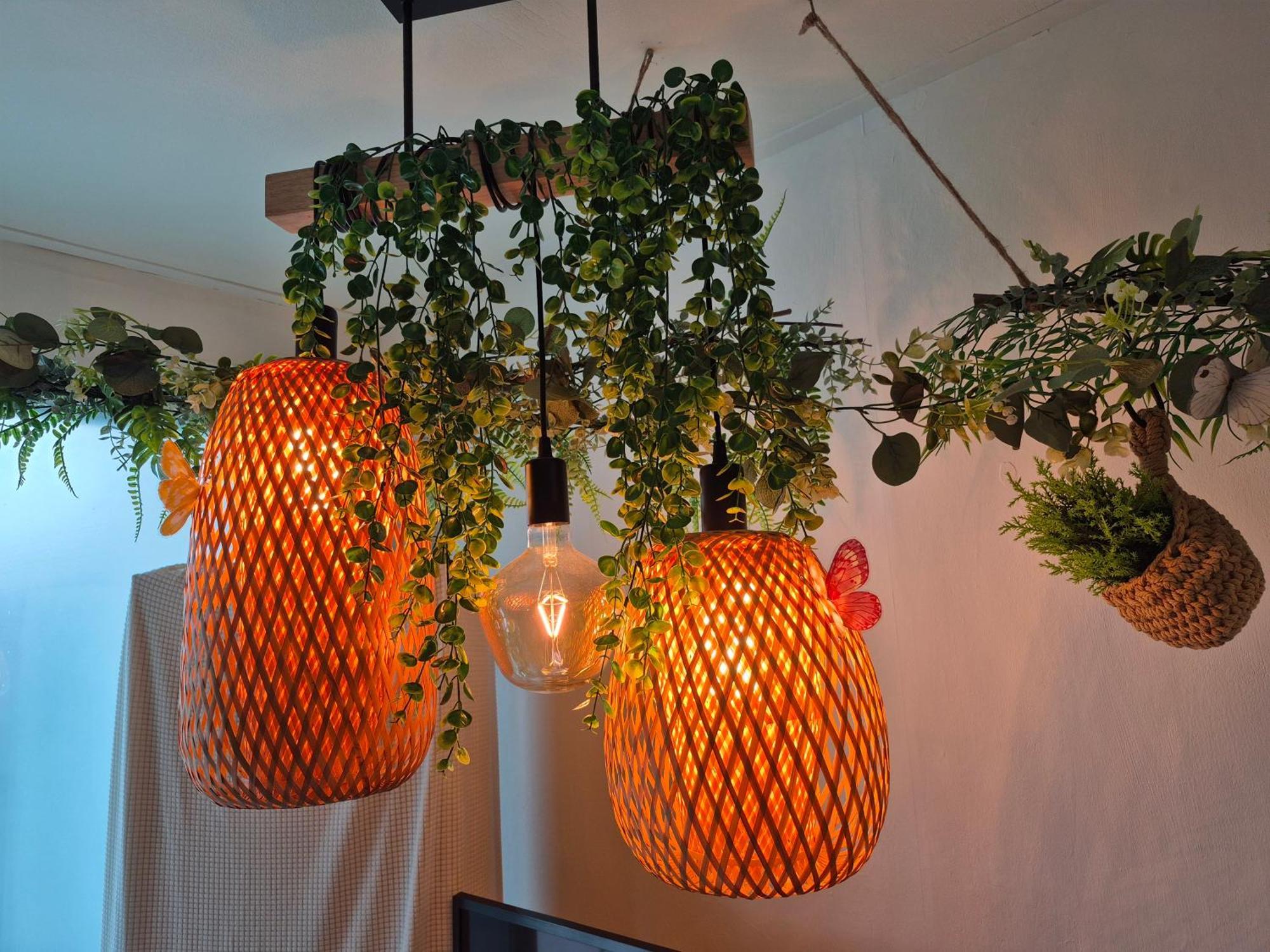Nature House Apartment *